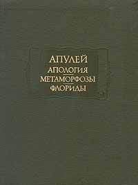 Луций Апулей - Апология - Читать 📖 Читать онлайн 👀 Читаемые книги читать онлайн бесплатно 🔥 booksread-online.com