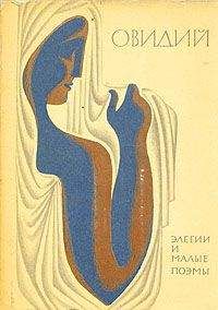Публий Назон - Элегии и малые поэмы - Читать 📖 Читать онлайн 👀 Читаемые книги читать онлайн бесплатно 🔥 booksread-online.com