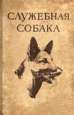 Леонид Крушинский - Служебная собака. Руководство по подготовке специалистов служебного собаководства - Читать | Читать онлайн | Читаемые книги читать онлайн бесплатно | booksread-online.com
