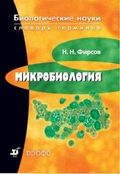 Николай Фирсов - Микробиология: словарь терминов - Читать 📖 Читать онлайн 👀 Читаемые книги читать онлайн бесплатно 🔥 booksread-online.com