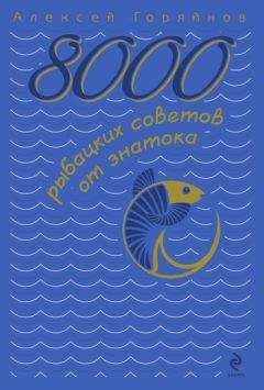 Алексей Горяйнов - 8000 рыбацких советов от знатока - Читать 📖 Читать онлайн 👀 Читаемые книги читать онлайн бесплатно 🔥 booksread-online.com