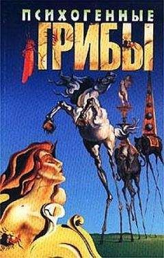 Дмитрий Соколов - Психогенные грибы - Читать 📖 Читать онлайн 👀 Читаемые книги читать онлайн бесплатно 🔥 booksread-online.com