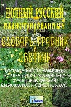 Е. Залесова - Полный иллюстрированный словарь-травник и цветник - Читать 📖 Читать онлайн 👀 Читаемые книги читать онлайн бесплатно 🔥 booksread-online.com