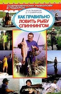 А. Пышков - Как правильно ловить рыбу спиннингом - Читать 📖 Читать онлайн 👀 Читаемые книги читать онлайн бесплатно 🔥 booksread-online.com