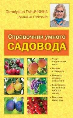 Октябрина Ганичкина - Справочник умелого садовода - Читать 📖 Читать онлайн 👀 Читаемые книги читать онлайн бесплатно 🔥 booksread-online.com