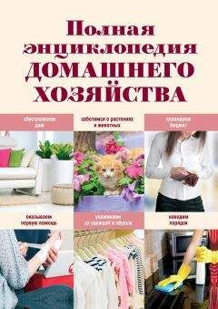 Елена Васнецова - Полная энциклопедия домашнего хозяйства - Читать | Читать онлайн | Читаемые книги читать онлайн бесплатно | booksread-online.com