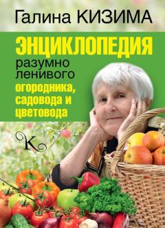 Галина Кизима - Энциклопедия разумно ленивого огородника, садовода и цветовода - Читать | Читать онлайн | Читаемые книги читать онлайн бесплатно | booksread-online.com