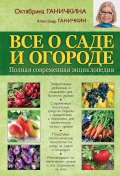 Октябрина Ганичкина - Все о саде и огороде. Полная современная энциклопедия - Читать 📖 Читать онлайн 👀 Читаемые книги читать онлайн бесплатно 🔥 booksread-online.com