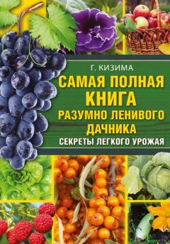 Галина Кизима - Самая полная книга разумно ленивого дачника. Секреты легкого урожая - Читать 📖 Читать онлайн 👀 Читаемые книги читать онлайн бесплатно 🔥 booksread-online.com