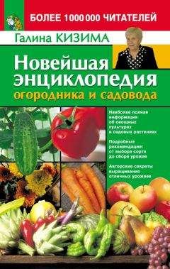 Галина Кизима - Новейшая энциклопедия огородника и садовода - Читать 📖 Читать онлайн 👀 Читаемые книги читать онлайн бесплатно 🔥 booksread-online.com