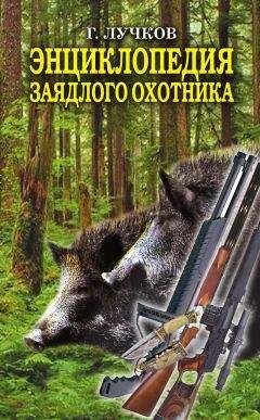 Геннадий Лучков - Энциклопедия заядлого охотника. 500 секретов мужского удовольствия - Читать | Читать онлайн | Читаемые книги читать онлайн бесплатно | booksread-online.com