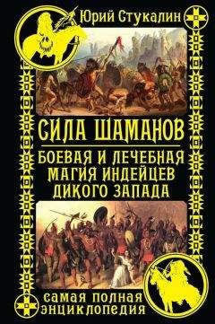 Юрий Стукалин - Сила шаманов. Боевая и лечебная магия индейцев Дикого Запада - Читать 📖 Читать онлайн 👀 Читаемые книги читать онлайн бесплатно 🔥 booksread-online.com