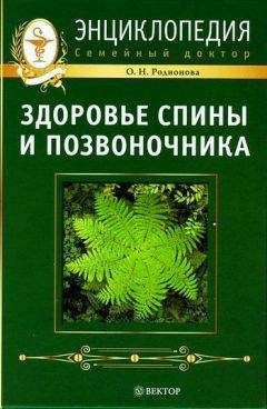 Ольга Родионова - Здоровье спины и позвоночника. Энциклопедия - Читать 📖 Читать онлайн 👀 Читаемые книги читать онлайн бесплатно 🔥 booksread-online.com