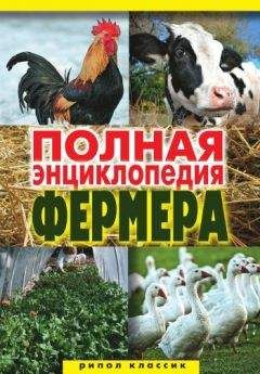 Алексей Гаврилов - Полная энциклопедия фермера - Читать | Читать онлайн | Читаемые книги читать онлайн бесплатно | booksread-online.com