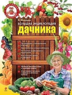 Елена Вечерина - Большая энциклопедия дачника - Читать 📖 Читать онлайн 👀 Читаемые книги читать онлайн бесплатно 🔥 booksread-online.com
