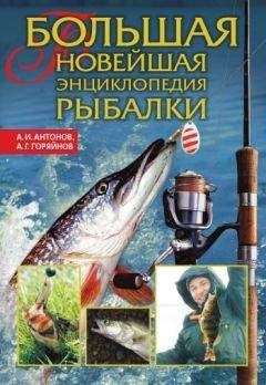 Алексей Горяйнов - Большая новейшая энциклопедия рыбалки - Читать | Читать онлайн | Читаемые книги читать онлайн бесплатно | booksread-online.com