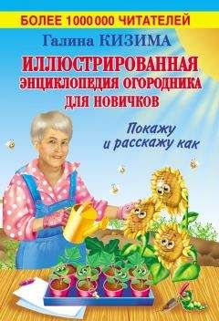 Галина Кизима - Иллюстрированная энциклопедия огородника для новичков - Читать | Читать онлайн | Читаемые книги читать онлайн бесплатно | booksread-online.com