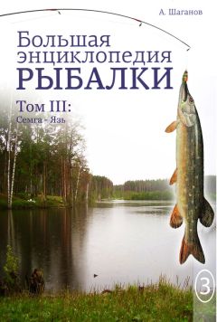 Антон Шаганов - Большая энциклопедия рыбалки. Том 3 - Читать 📖 Читать онлайн 👀 Читаемые книги читать онлайн бесплатно 🔥 booksread-online.com