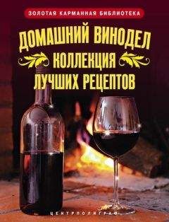 Людмила Михайлова - Домашний винодел. Коллекция лучших рецептов - Читать 📖 Читать онлайн 👀 Читаемые книги читать онлайн бесплатно 🔥 booksread-online.com