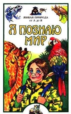 Е. Васильева - Я познаю мир. Живая природа от А до Я - Читать | Читать онлайн | Читаемые книги читать онлайн бесплатно | booksread-online.com