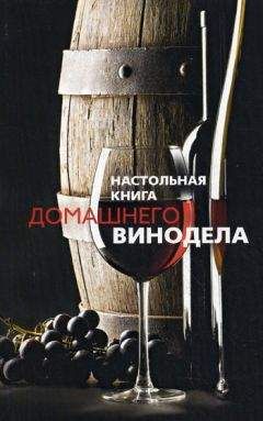 Людмила Михайлова - Настольная книга домашнего винодела - Читать 📖 Читать онлайн 👀 Читаемые книги читать онлайн бесплатно 🔥 booksread-online.com