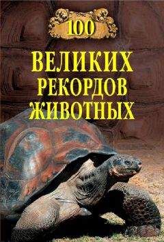 Анатолий Бернацкий - Сто великих рекордов животных - Читать | Читать онлайн | Читаемые книги читать онлайн бесплатно | booksread-online.com