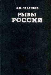 Леонид Сабанеев - Рыбы России (Том первый) - Читать 📖 Читать онлайн 👀 Читаемые книги читать онлайн бесплатно 🔥 booksread-online.com