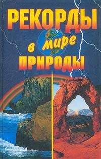 Екатерина Горбачева - Рекорды в мире природы - Читать 📖 Читать онлайн 👀 Читаемые книги читать онлайн бесплатно 🔥 booksread-online.com
