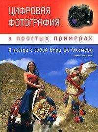 Никита Биржаков - Цифровая фотография в простых примерах - Читать | Читать онлайн | Читаемые книги читать онлайн бесплатно | booksread-online.com