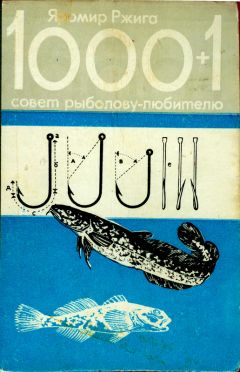 Яромир Ржига - 1000+1 совет рыболову-любителю - Читать | Читать онлайн | Читаемые книги читать онлайн бесплатно | booksread-online.com