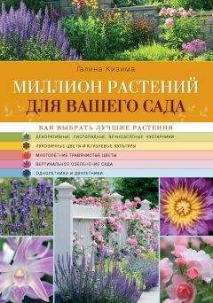 Галина Кизима - Миллион растений для вашего сада - Читать 📖 Читать онлайн 👀 Читаемые книги читать онлайн бесплатно 🔥 booksread-online.com