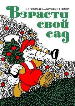 Евгений Ярославцев - Взрасти свой сад - Читать 📖 Читать онлайн 👀 Читаемые книги читать онлайн бесплатно 🔥 booksread-online.com