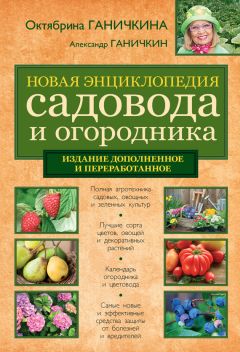 Октябрина Ганичкина - Новая энциклопедия садовода и огородника (издание дополненное и переработанное) - Читать 📖 Читать онлайн 👀 Читаемые книги читать онлайн бесплатно 🔥 booksread-online.com