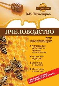 Вадим Тихомиров - Пчеловодство для начинающих - Читать 📖 Читать онлайн 👀 Читаемые книги читать онлайн бесплатно 🔥 booksread-online.com