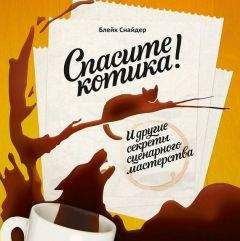 Блейк Снайдер - Спасите котика! И другие секреты сценарного мастерства - Читать 📖 Читать онлайн 👀 Читаемые книги читать онлайн бесплатно 🔥 booksread-online.com