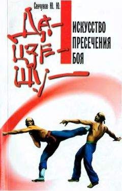 Юрий Сенчуков - Да-цзе-шу — искусство пресечения боя - Читать | Читать онлайн | Читаемые книги читать онлайн бесплатно | booksread-online.com