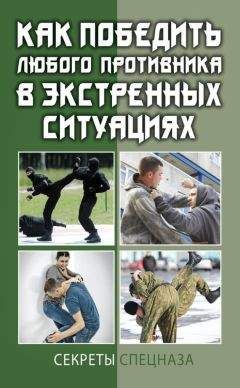 Сергей Кашин - Как победить любого противника в экстренных ситуациях. Секреты спецназа - Читать 📖 Читать онлайн 👀 Читаемые книги читать онлайн бесплатно 🔥 booksread-online.com