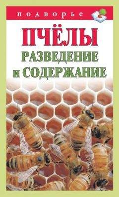 Тамара Руцкая - Пчёлы. Разведение и содержание - Читать | Читать онлайн | Читаемые книги читать онлайн бесплатно | booksread-online.com