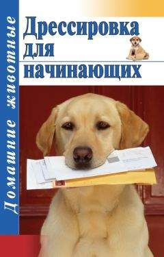 Тамара Руцкая - Дрессировка для начинающих - Читать 📖 Читать онлайн 👀 Читаемые книги читать онлайн бесплатно 🔥 booksread-online.com