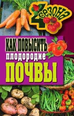 Светлана Хворостухина - Как повысить плодородие почвы - Читать 📖 Читать онлайн 👀 Читаемые книги читать онлайн бесплатно 🔥 booksread-online.com