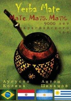 Аугусто Колина - Yerba Mate: Мате. Матэ. Мати. 9000 лет парагвайского чая - Читать 📖 Читать онлайн 👀 Читаемые книги читать онлайн бесплатно 🔥 booksread-online.com