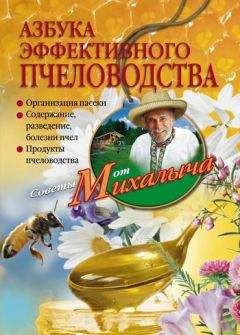 Николай Звонарев - Азбука эффективного пчеловодства - Читать 📖 Читать онлайн 👀 Читаемые книги читать онлайн бесплатно 🔥 booksread-online.com