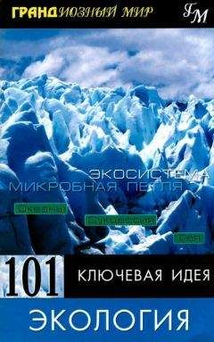 Пол Митчелл - 101 ключевая идея: Экология - Читать 📖 Читать онлайн 👀 Читаемые книги читать онлайн бесплатно 🔥 booksread-online.com