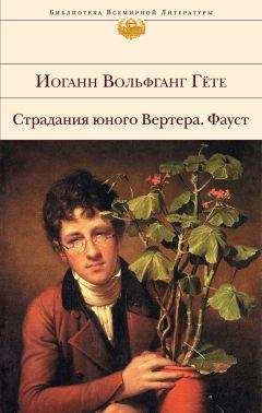 Иоганн Гете - Страдания юного Вертера. Фауст (сборник) - Читать | Читать онлайн | Читаемые книги читать онлайн бесплатно | booksread-online.com