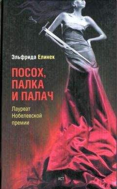 Эльфрида Елинек - Облака. Дом. - Читать 📖 Читать онлайн 👀 Читаемые книги читать онлайн бесплатно 🔥 booksread-online.com