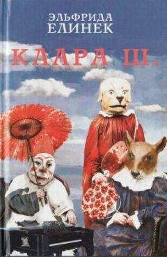 Эльфрида Елинек - Ничего страшного: Маленькая трилогия смерти - Читать | Читать онлайн | Читаемые книги читать онлайн бесплатно | booksread-online.com