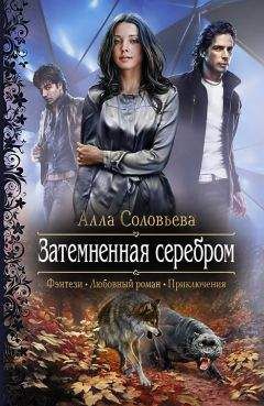 Алла Соловьёва - Затемненная серебром - Читать 📖 Читать онлайн 👀 Читаемые книги читать онлайн бесплатно 🔥 booksread-online.com