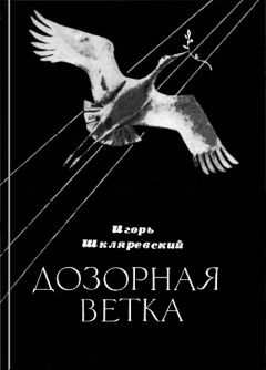 Игорь Шкляревский - Дозорная ветка. Стихи и переводы - Читать 📖 Читать онлайн 👀 Читаемые книги читать онлайн бесплатно 🔥 booksread-online.com