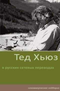 Тед Хьюз - Стихотворения - Читать 📖 Читать онлайн 👀 Читаемые книги читать онлайн бесплатно 🔥 booksread-online.com
