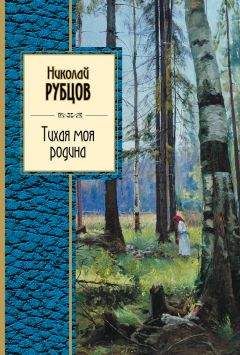 Николай Рубцов - Тихая моя родина (сборник) - Читать 📖 Читать онлайн 👀 Читаемые книги читать онлайн бесплатно 🔥 booksread-online.com